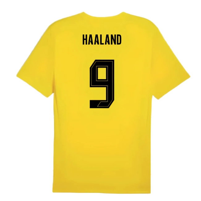 2024-2025 Borussia Dortmund Training Shirt (Yellow) (Haaland 9) — Buy Now