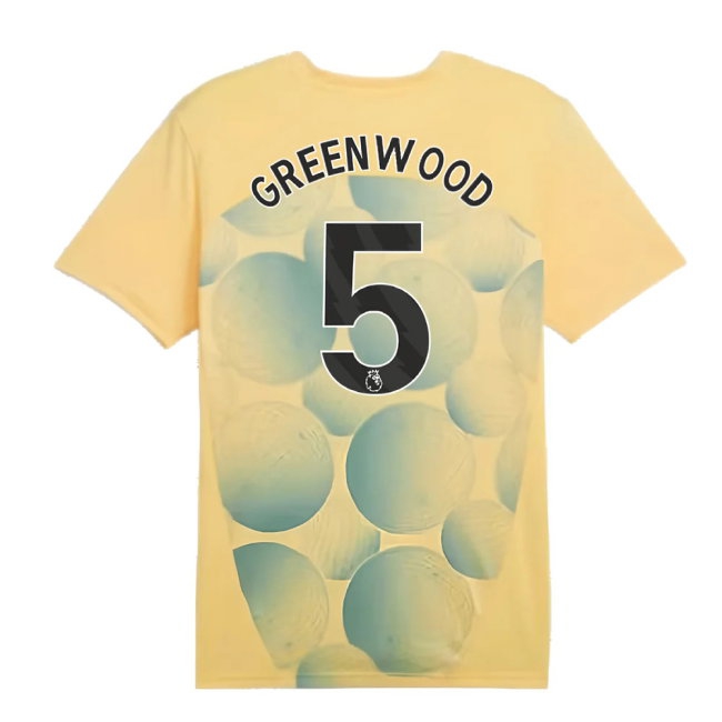 2024-2025 Man City Prematch SS Shirt (Flaxen) (Greenwood 5) — Shop Online