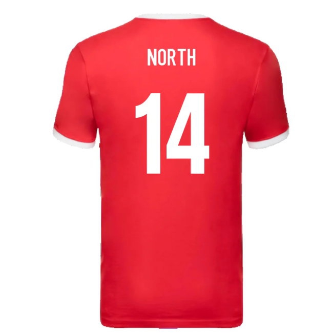 British and Irish Lions Ringer T-Shirt (Red) (North 14) — Shop Now