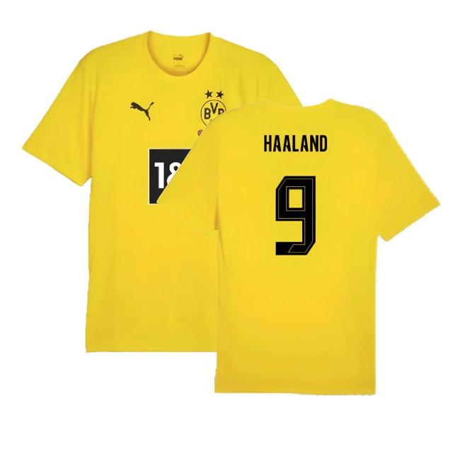 2024-2025 Borussia Dortmund Training Shirt (Yellow) (Haaland 9) — Buy Now