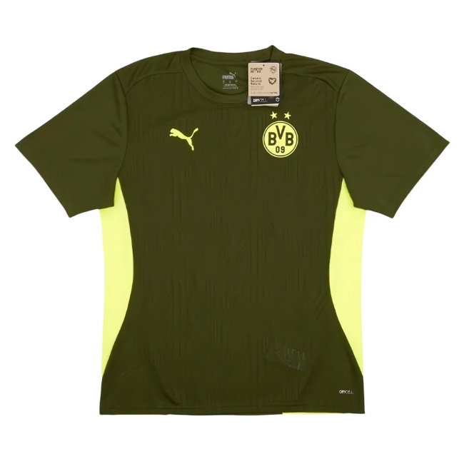 2024-2025 Borussia Dortmund Training Shirt (Myrtle) (Haaland 9) — Buy Now