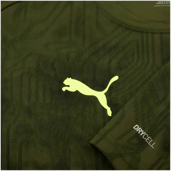 2024-2025 Borussia Dortmund Training Shirt (Myrtle) (Haaland 9) — Buy Now