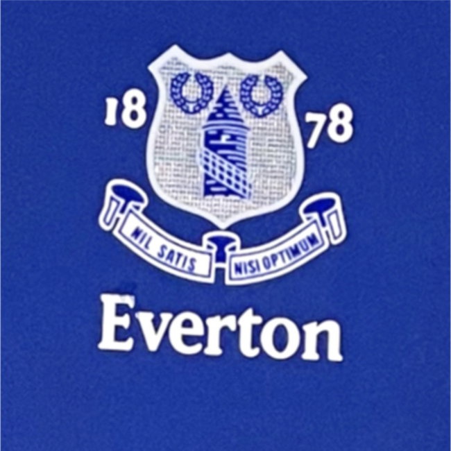 Everton 2003 Anniversary Retro Home Shirt (Gravesen 16) — Shop Now