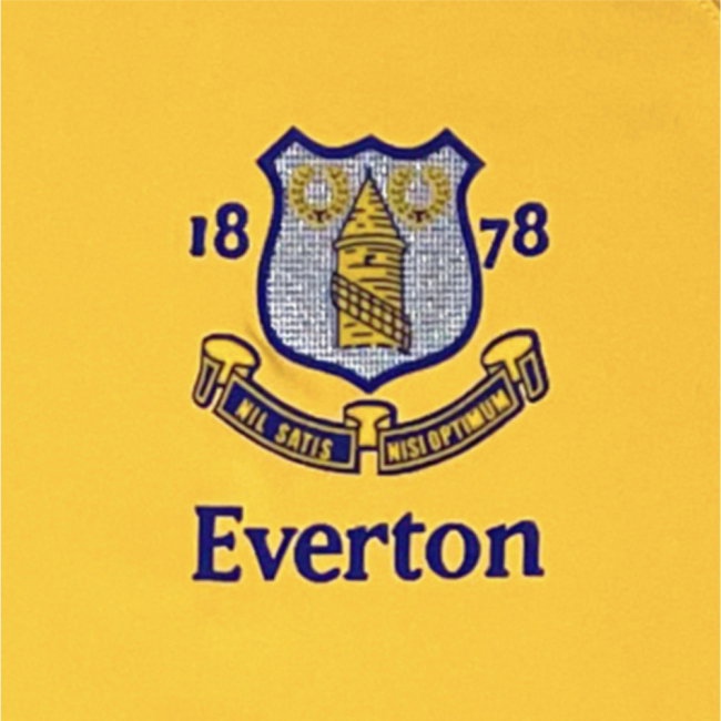 Everton 2003 Anniversary Retro Away Shirt (Gravesen 16) — Shop Now