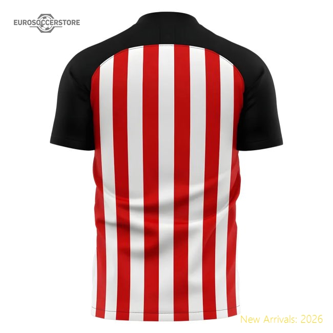 2025-2026 Sunderland Home Concept Football Shirt (Your Name)-Football Shirts Shop