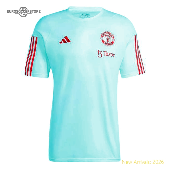2023-2024 Man Utd Training Tee (White) (V Nistelrooy 10)-Football Jersey Hub