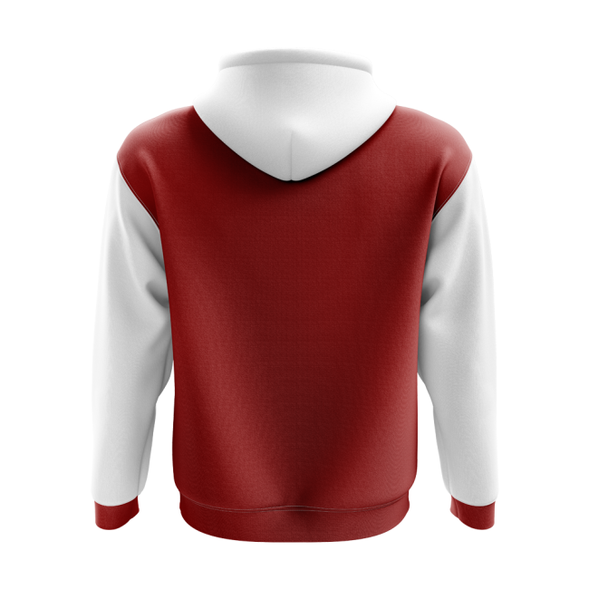 Japan Concept Country Football Hoody (Red)-Vantage Point Soccer