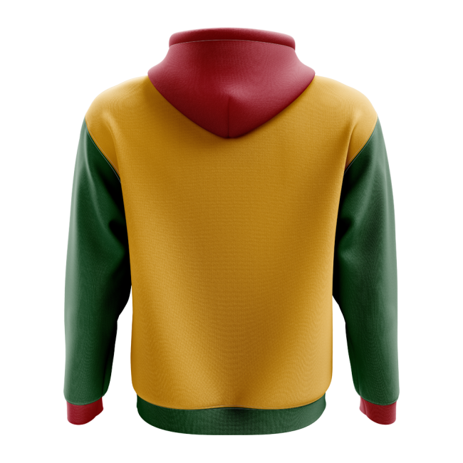 Lithuania Concept Country Football Hoody (Yellow)-Football Shirts Shop
