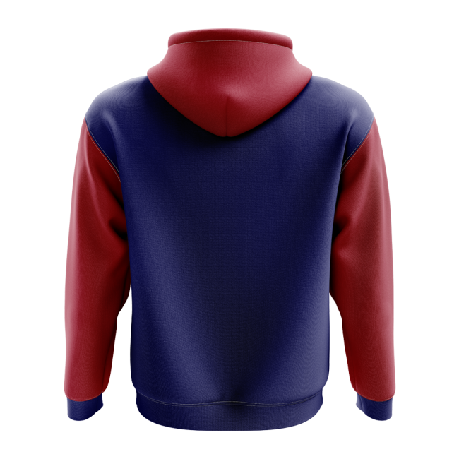 Liechtenstein Concept Country Football Hoody (Navy)-Football Shirts Shop