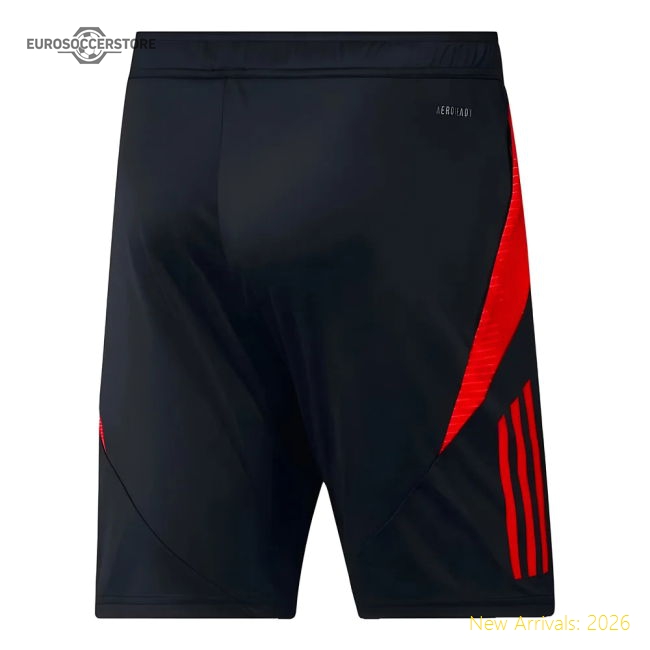 2024-2025 Belgium Training Shorts (Black)-Vantage Point Soccer