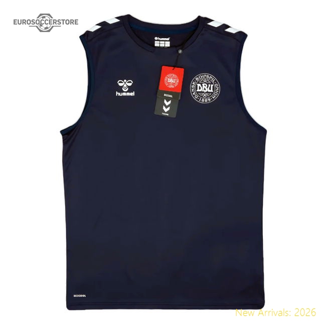 2024-2025 Denmark Sleeveless Training Jersey (Marine) (Your Name)-Vantage Point Soccer
