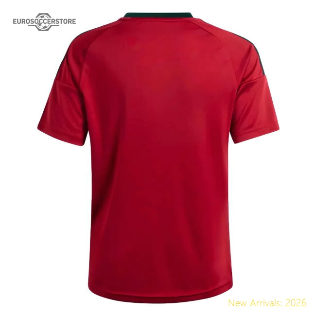 2024-2025 Belgium Home Fan Shirt (Kids)-Vantage Point Soccer