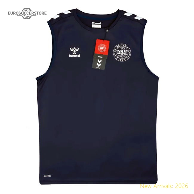 2024-2025 Denmark Sleeveless Training Jersey (Marine)-Vantage Point Soccer