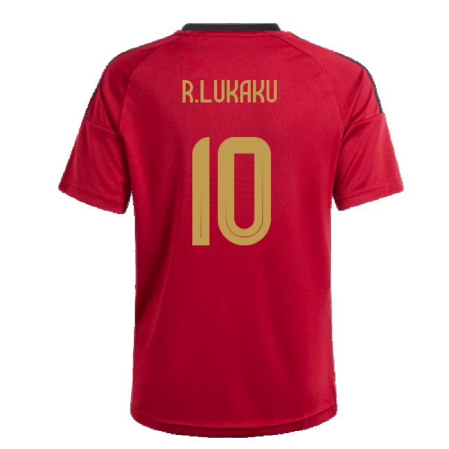 2024-2025 Belgium Home Fan Shirt (Kids) (R.Lukaku 10)-Vantage Point Soccer