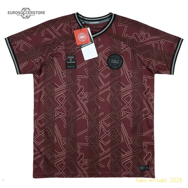 2024-2025 Denmark Special Edition Hummel x Halo Shirt (Kids)-Vantage Point Soccer