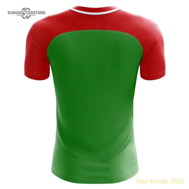 2025-2026 Chechnya Home Concept Football Shirt-Vantage Point Soccer