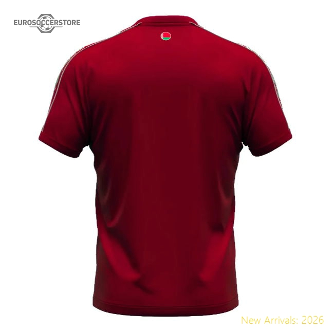 2024-2025 Belarus Home Shirt-Vantage Point Soccer